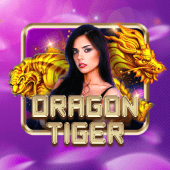 Dragon Tiger live on Playt